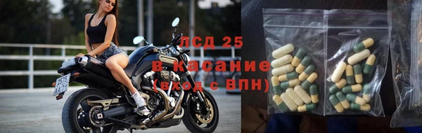 сатива Инсар