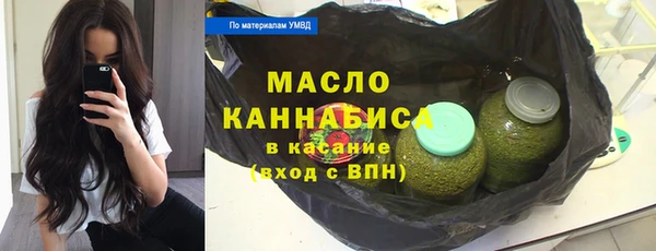 сатива Иннополис