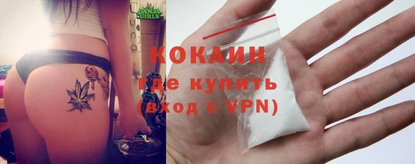 сатива Иннополис