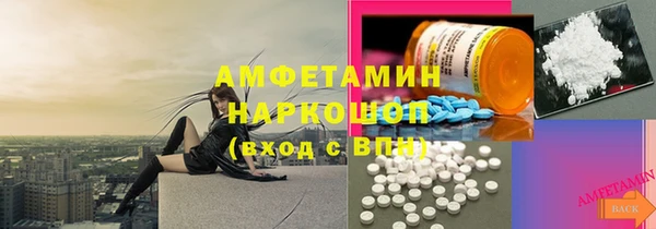 сатива Иннополис