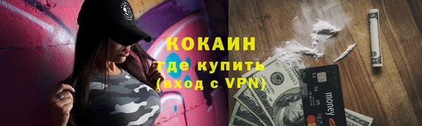 сатива Инсар