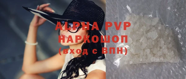 сатива Иннополис