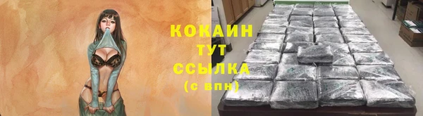 сатива Иннополис