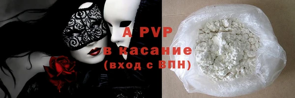 сатива Инсар
