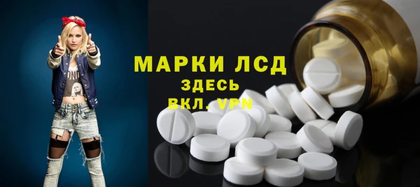 сатива Иннополис