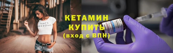 сатива Иннополис