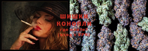 первитин Инта