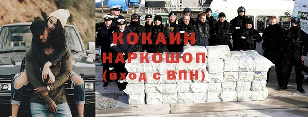 сатива Инсар