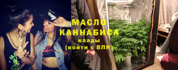 сатива Иннополис