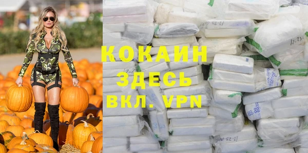 первитин Инта