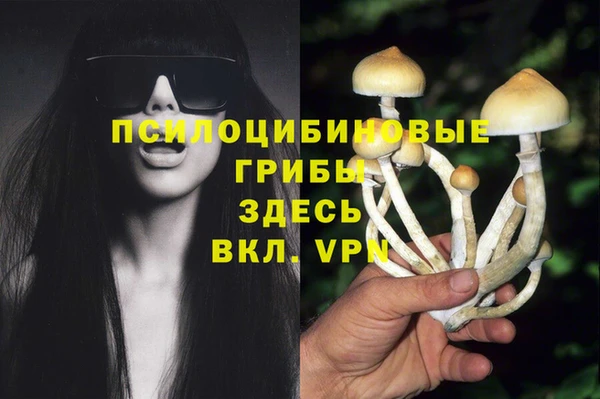 сатива Инсар