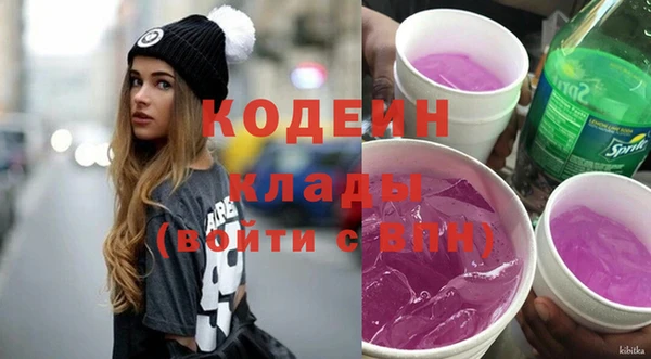 сатива Иннополис