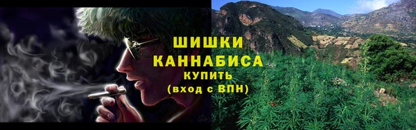 первитин Инта