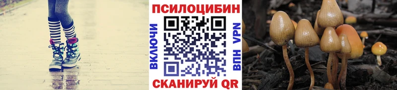 Псилоцибиновые грибы Psilocybine cubensis  Купить закладки  Янаул 